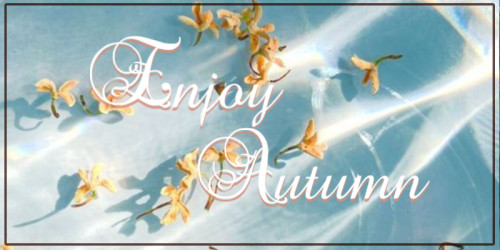 9月のAutumnキャンペーン！
