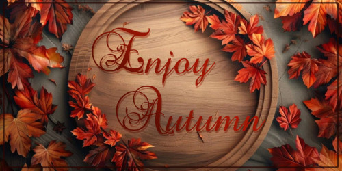 No,9ナンバーナイン Winterキャンペーン！