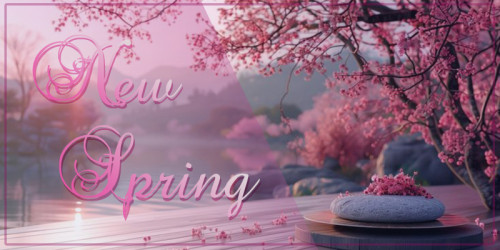 No,9ナンバーナイン Springキャンペーン！